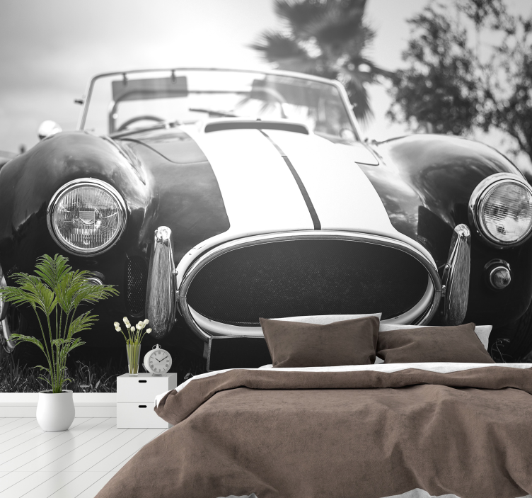 Vintage raceauto fotobehang - TenStickers