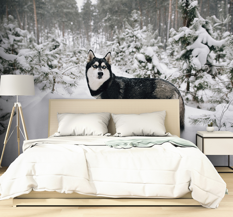 Winter bos en husky hond fotobehang - TenStickers