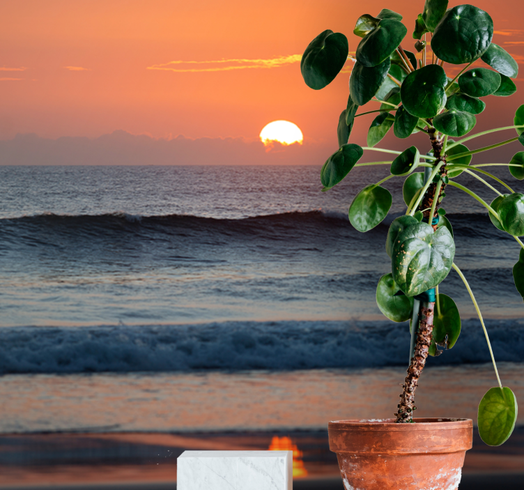 Zonsondergang oceaan horizon fotobehang strand - TenStickers