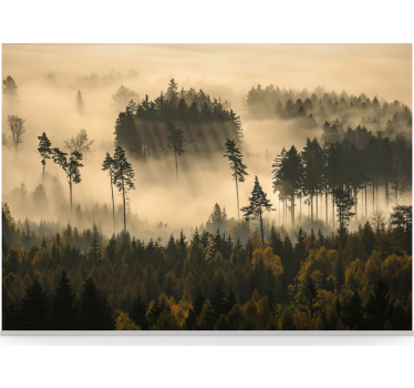 Behang bos etherische ochtendmist - TenStickers