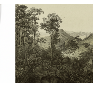 Behang bos hilly forest print - TenStickers