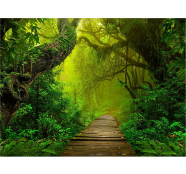 Behang bos mystic forest path - TenStickers