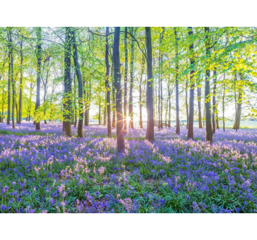 Behang bos natuur geïnspireerd modernisme - TenStickers