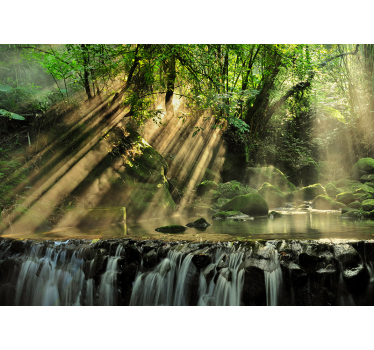 Fotobehang bomen en zonlicht in natuur - TenStickers