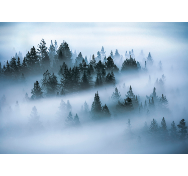 Fotobehang natuur Jungle ochtend mist - TenStickers