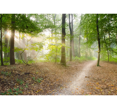 Fotobehang bomen met veel groene bladeren - TenStickers