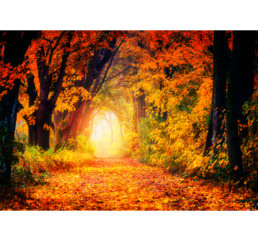 Fotobehang herfst stijl - TenStickers