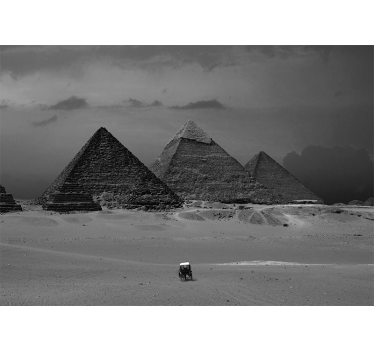 Fotobehang woestijn Zaalpiramides van egypte - TenStickers