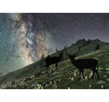 Sterrennacht herten foto behang bos - TenStickers