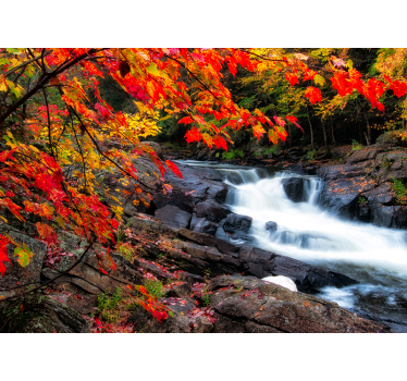Behang bos herfstwaterval landschap - TenStickers