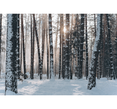 Winterse dennenbossen foto behang bos - TenStickers