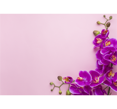 Orchideeën fotobehang bloemarrangement orchideeën - TenStickers