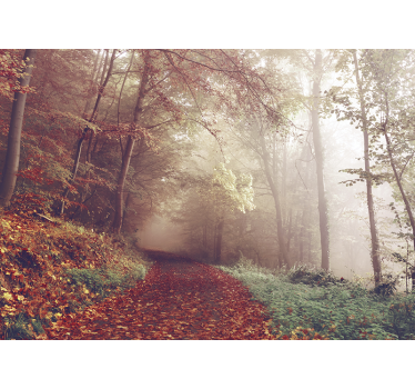 Foto behang bos herfstpad landschap - TenStickers