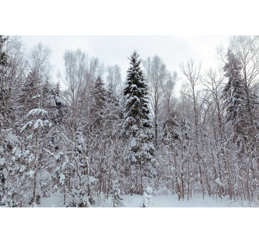 Foto behang bos winterse boslandschap - TenStickers