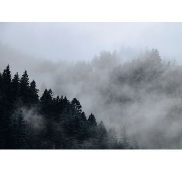 Mistig vochtig landschap foto behang bos - TenStickers