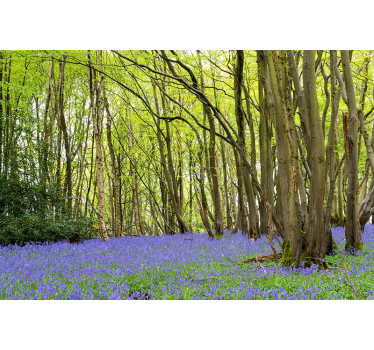 Foto behang bos levendige groene bomen - TenStickers