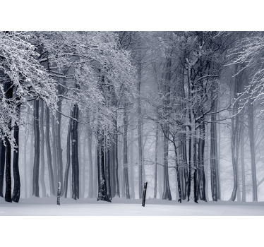 Besneeuwd boomlandschap foto behang bos - TenStickers