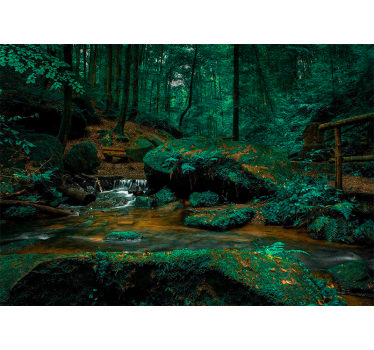 Foto behang bos serene bosbeek - TenStickers
