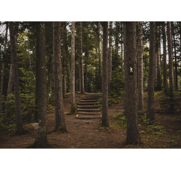 Foto behang bos bospad sereniteit - TenStickers