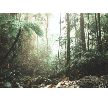 Foto behang bos weelderige jungle sereniteit - TenStickers