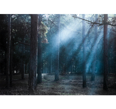 Mistig mistig pad foto behang bos - TenStickers