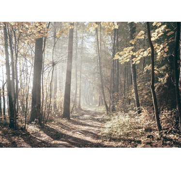 Foto behang bos serene herfstpad - TenStickers