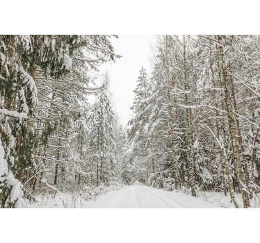 Winter dag foto behang bos - TenStickers