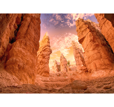 Rose Canyon fotobehang - TenStickers