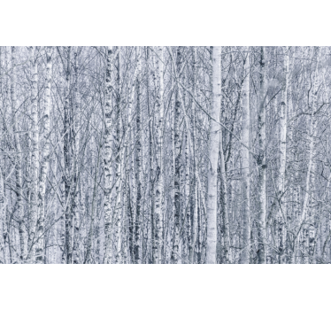 Foto behang bos berkenbos wildernis - TenStickers
