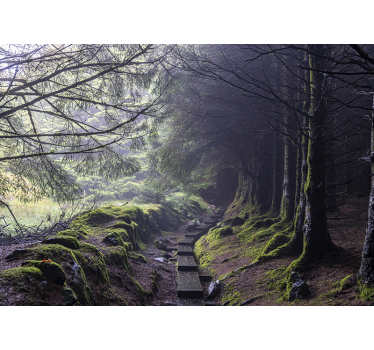 Foto behang bos mystic forest path - TenStickers