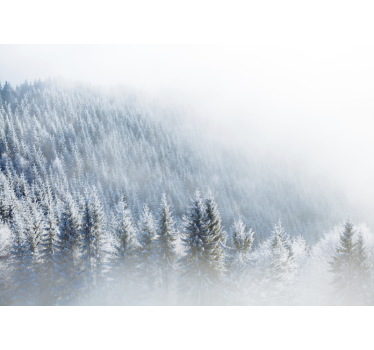 Bos fotobehang Besneeuwde kerstbomen - TenStickers
