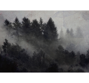 Mistige mistige atmosfeer foto behang bos - TenStickers