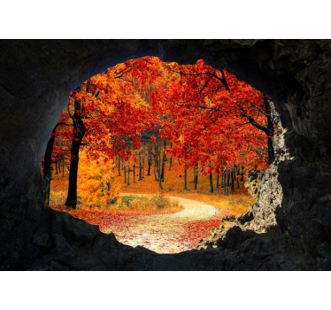 Behang bos herfstpad perspectief - TenStickers