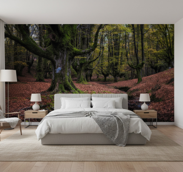 Behang bos betoverd herfstbos - TenStickers