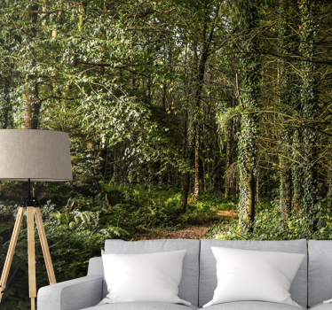 Behang bos lush forest pathway - TenStickers