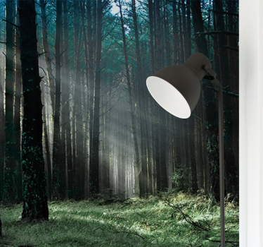 Behang bos stralend bospad - TenStickers