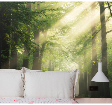 Behang bos stralende groene wouden - TenStickers
