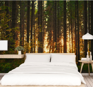 Behang bos sunset boom silhouetten - TenStickers
