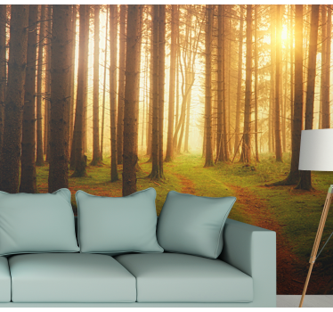 Behang bos woodland trail view - TenStickers