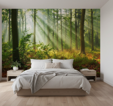 Behang bos zonovergoten ochtendbos - TenStickers