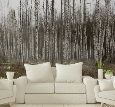 Foto behang bos berkenbos natuur retreat - TenStickers