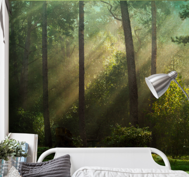 Foto behang bos betoverend boslandschap - TenStickers