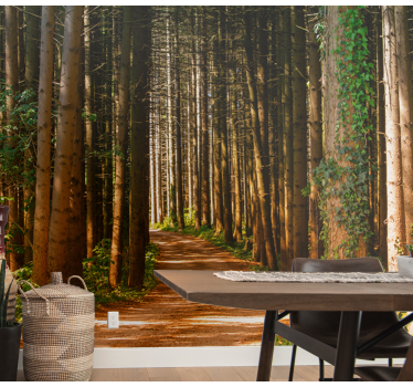 Foto behang bos betoverend bospad - TenStickers