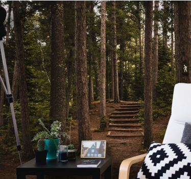 Foto behang bos bospad sereniteit - TenStickers