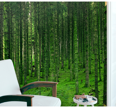 Foto behang bos groene woud - TenStickers