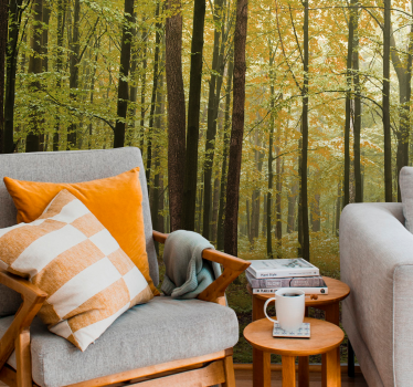 Foto behang bos herfst boslandschap - TenStickers