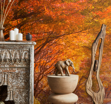 Foto behang bos herfstpad - TenStickers