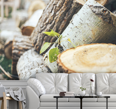Foto behang bos houtstam arrangement - TenStickers