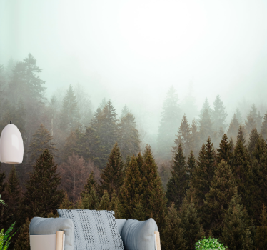 Foto behang bos mistige groene bos - TenStickers