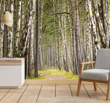 Foto behang bos serene bospad - TenStickers